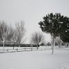 la grande nevicata del febbraio 2012 013